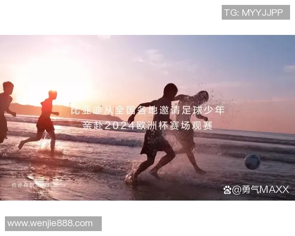 欧洲杯赛事媒体报道及公众关注度